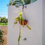 Casa Ginebro